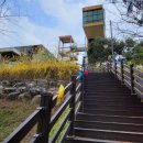 광산구 공익활동지원센터 대강당 | 꽃들의 잔치,2022 광산구도시재생공동체센터 출범식에 초대합니다.