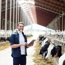 삼백 태양광발전소 이미지