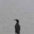 잠실공원 이미지