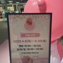 잔망루피 팝업스토어 운영 네이버블로그