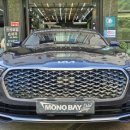 모노덴트 이미지