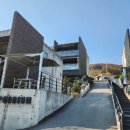 푸름한우 이미지