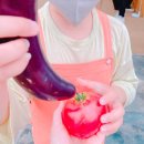 포시즌농원