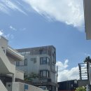 다몰이 | [제주도] 함덕 숙소추천 다몰펜션 내돈내산