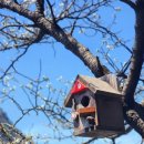 산정목장 2 이미지