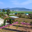 선학농장 이미지