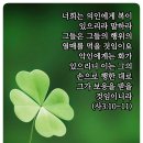 말씀나무 연구소 네이버블로그
