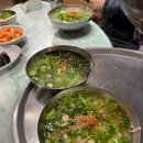 진아손칼국수 이미지