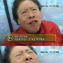 희양양