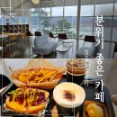 [홀리몰리] 청주 오창 저수지 뷰 카페 (ft. 귀여운 고양이)