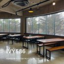 아이비586 이미지