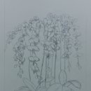 [북부] 연필스케치 이미지