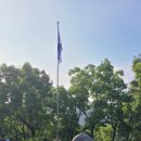 개미행정사 이미지