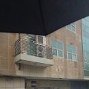 선비뇨기과의원 | 미금역 근처 리투오 스킨부스터 후기, 가성비 최고 피부과