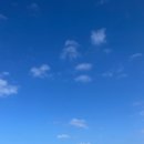 제주 낙산로 181 이미지