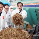 석청농장 이미지