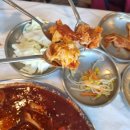 호텔스케치 | 강원도여행ㅣ도글리아애견호텔 속초해변 먹거리 2박3일 후기~