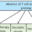 Re:Cold Tumors: A Therapeutic Challenge for Immunotherapy - 2019리뷰 이미지