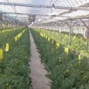 정산농장 이미지