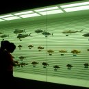 진해박물관 이미지