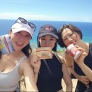 독일피엠 이미지