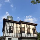 올리브 농장 이미지