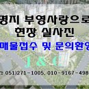 국제J공인중개사사무소 이미지