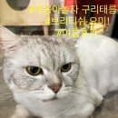 요미야 놀자 이미지