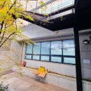 주식회사팀리얼티부동산중개법인 | 성수동 지식산업센터 특급 가성비! 높은 층고 오픈천장 썬큰 사무실