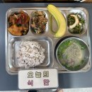 배성자원 Daum카페