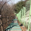 홍릉초교 이미지