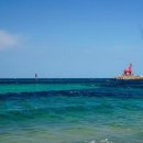 제주테우문화 이미지