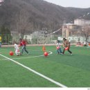 고한초등학교 이미지