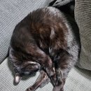 안성시청년문화공간 청년톡톡 공유주방 이미지