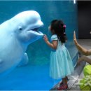 아쿠아플라넷 여수 이미지