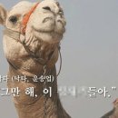 낙타식당 네이버블로그