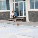 미진식당 이미지