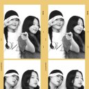 거북이의 꿈 이미지