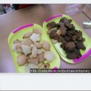 유등초등학교 이미지