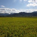 기계초 병설유치원 이미지