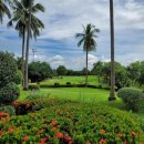 헬로골프 | 라오스 골프 처음 가는 사람들을 위한 완벽 가이드｜헬로라오스