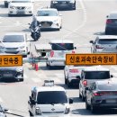 포우