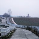 삼일목장 이미지