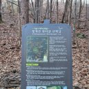 목우촌마을 청계산점 | 동상산악회 2024 신년산행 청계산 겨울 산행코스 원터골에서 매봉