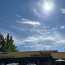 바링고빈스 이미지