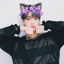 냥냥투게더 이미지