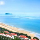 아일랜드리솜 이미지