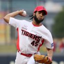 메디나인 이미지