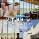 딸기노래광장 | [시흥 카페] '카리브해' 물왕 호수 뷰 맛집 아쉬웠던 솔직 후기