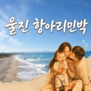 바다의아침민박 | 울진 가성비 숙소 항아리민박 후기｜오션뷰와 스노쿨링까지